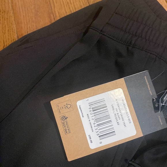 The North Face Standard Cargo Pant - Picture 10 of 14
